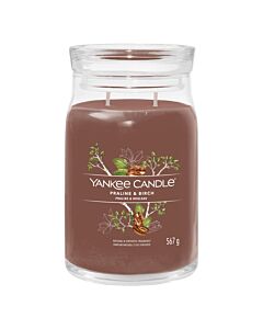 Yankee Candle Praline & Birch - Signature Medium Jar